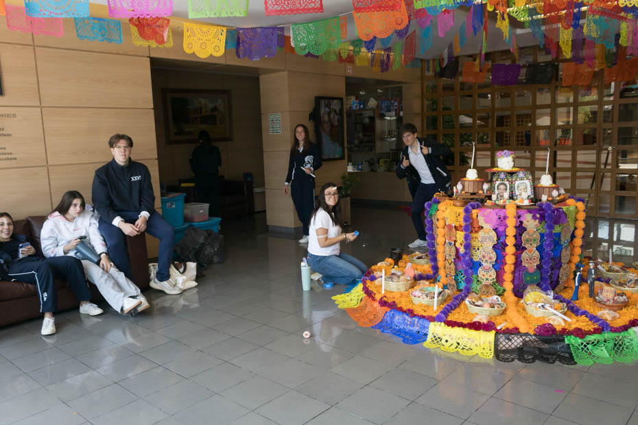 Ir a la Siguiente Foto