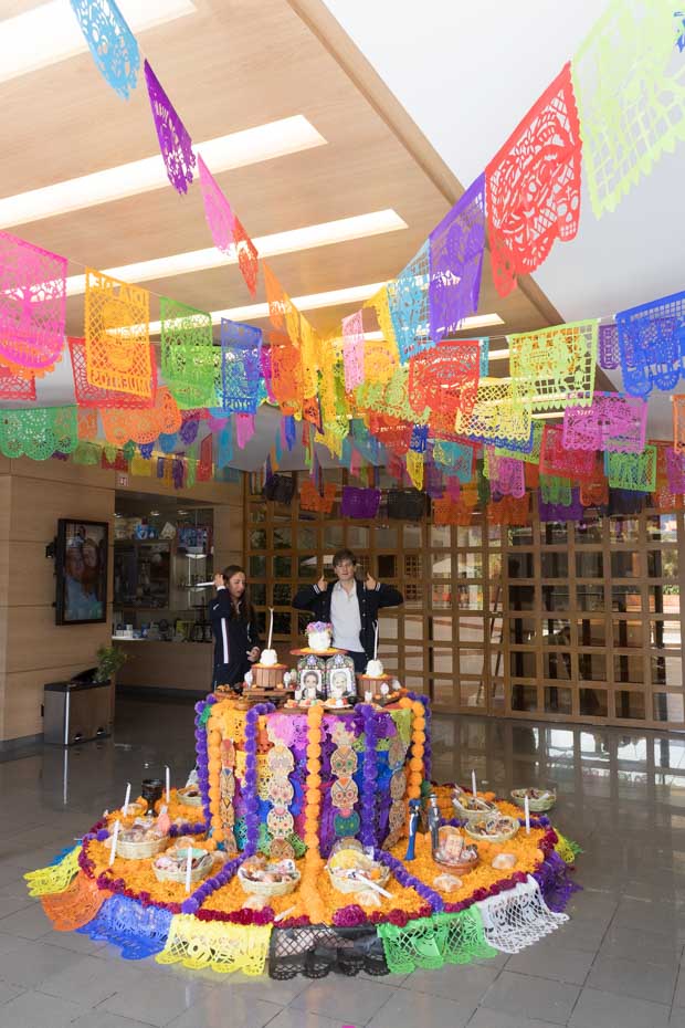 Ir a la Siguiente Foto