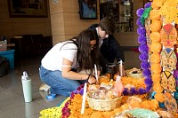30102025ofrenda_muertos20255.jpg