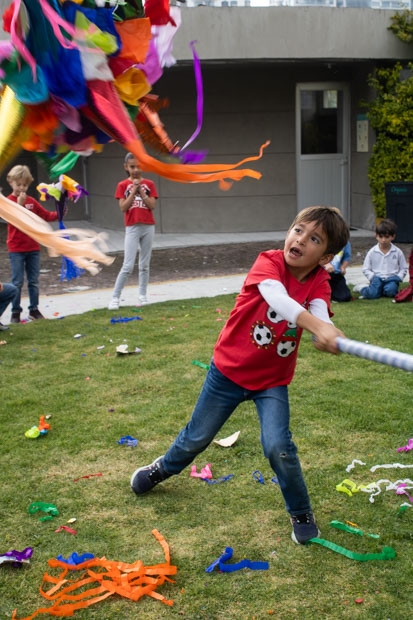 Ir a la Siguiente Foto