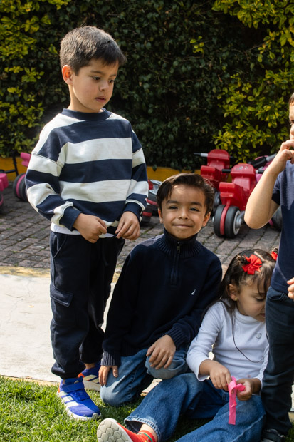 Ir a la Siguiente Foto