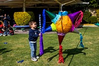 18122025pinatas_preescolar2025155.jpg