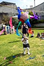 18122025pinatas_preescolar2025512.jpg