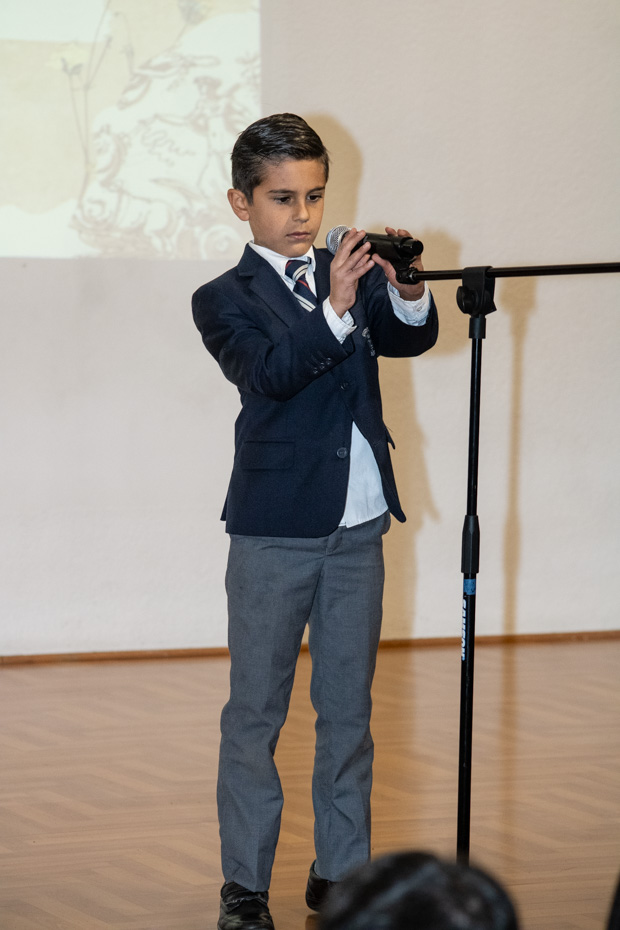 Ir a la Siguiente Foto