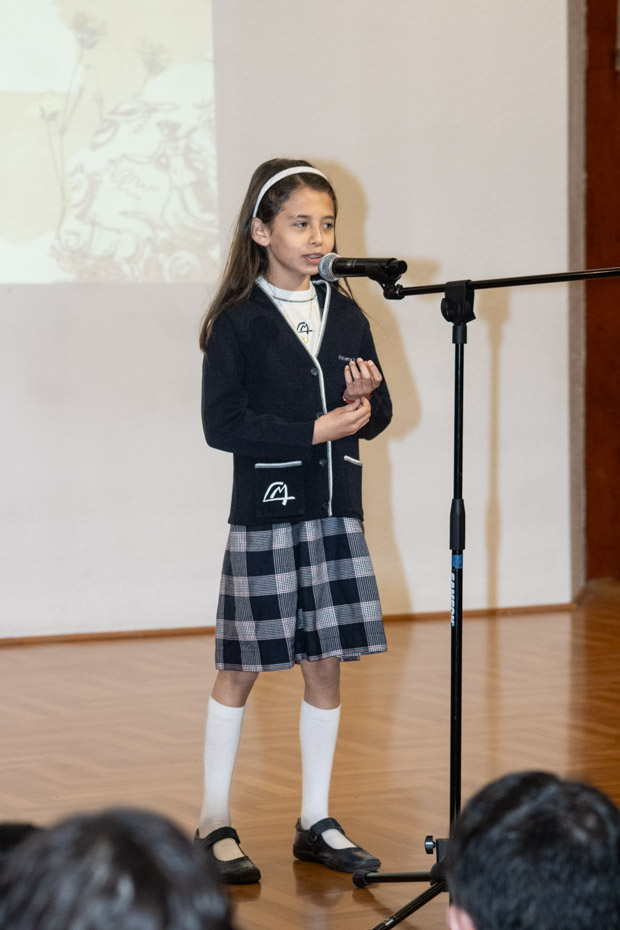 Ir a la Siguiente Foto