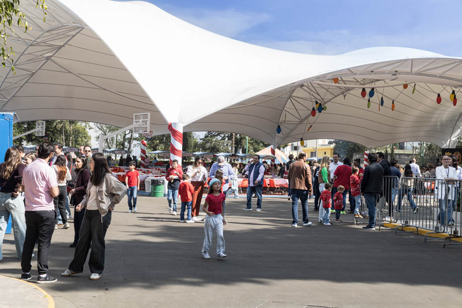 Ir a la Siguiente Foto