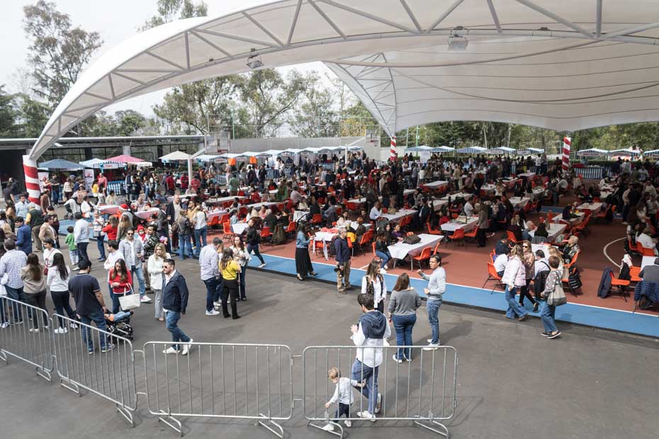 Ir a la Siguiente Foto