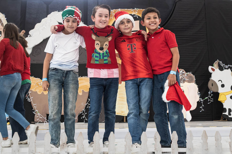 Ir a la Siguiente Foto