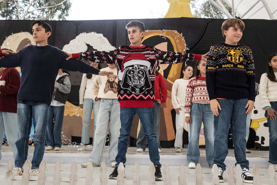 Ir a la Siguiente Foto