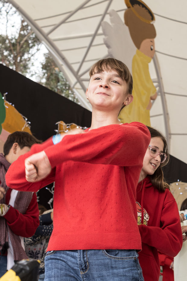 Ir a la Siguiente Foto