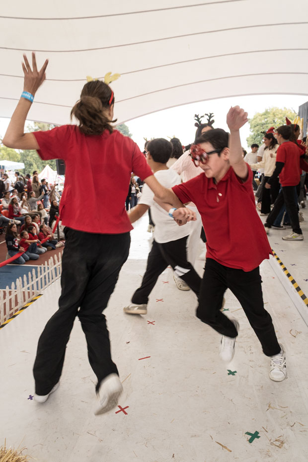 Ir a la Siguiente Foto