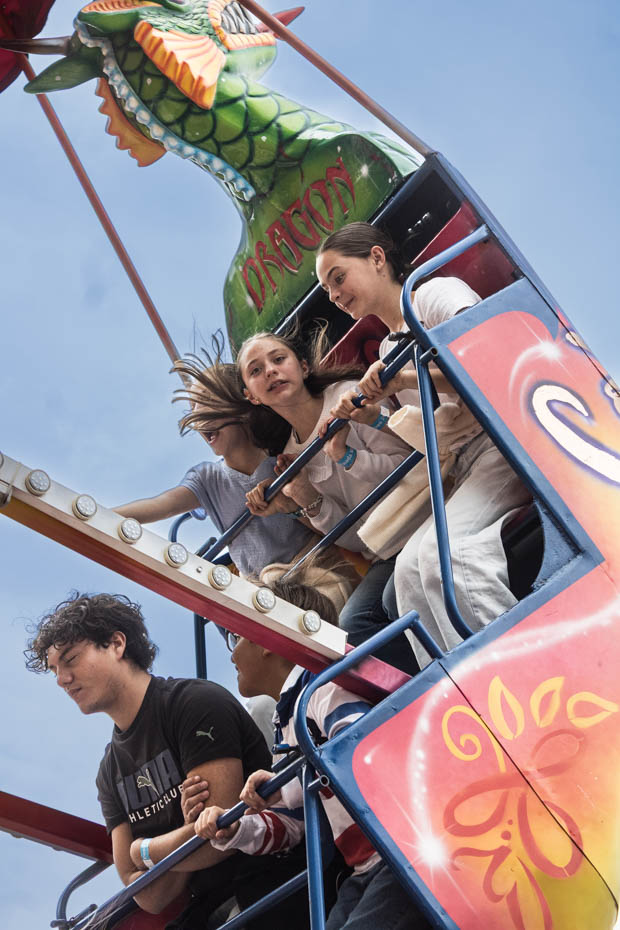 Ir a la Siguiente Foto