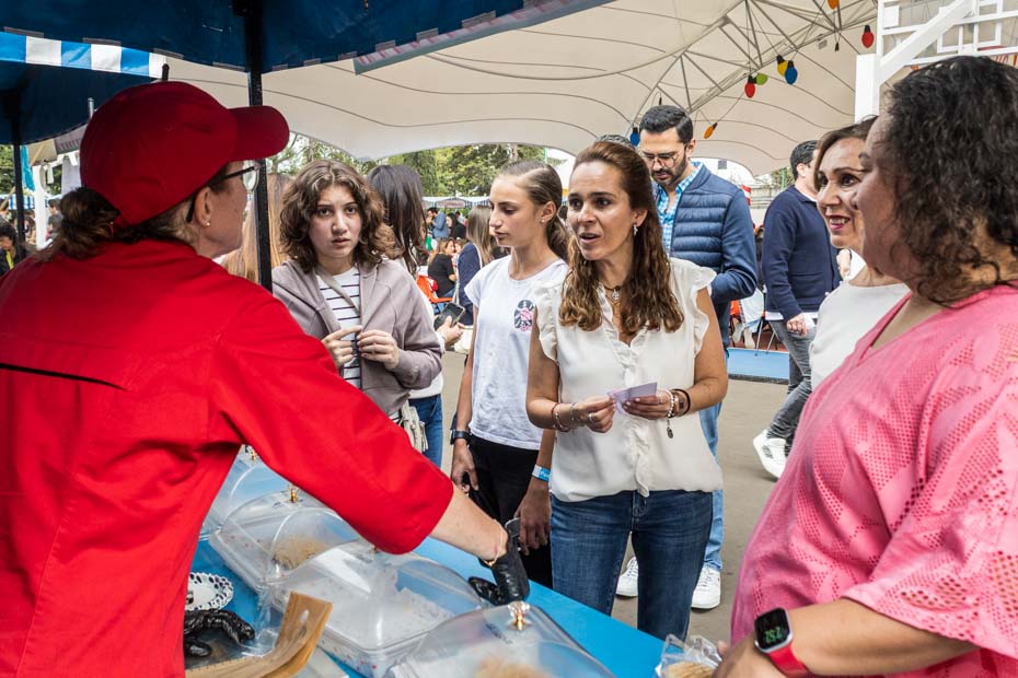 Ir a la Siguiente Foto