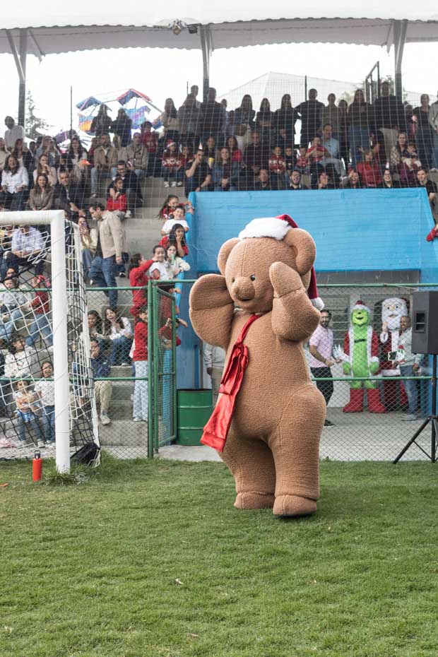 Ir a la Siguiente Foto