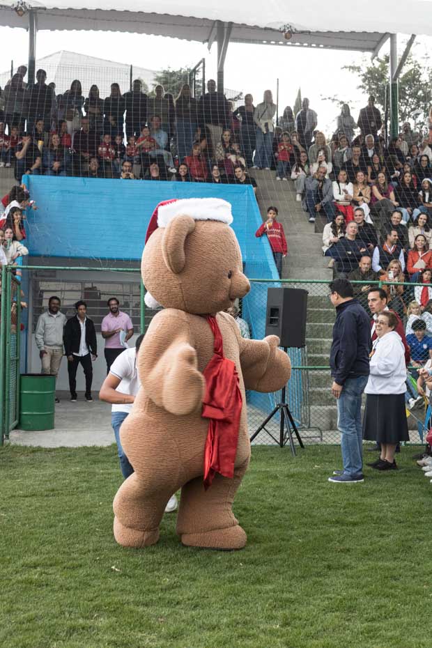 Ir a la Siguiente Foto