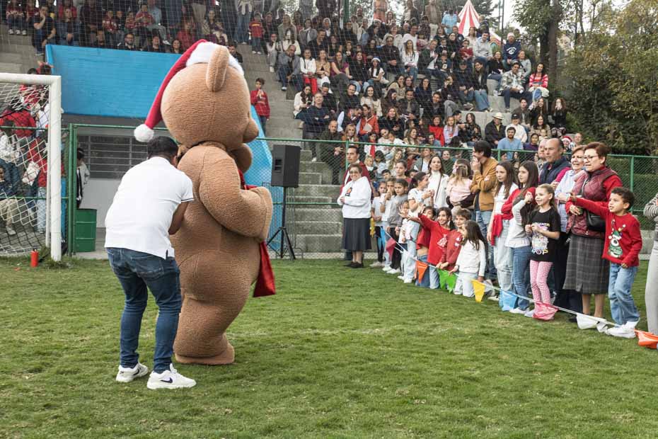 Ir a la Siguiente Foto