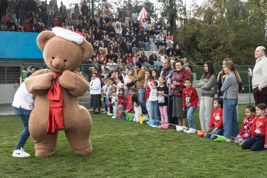 Ir a la Siguiente Foto