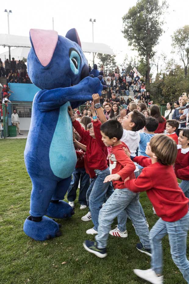 Ir a la Siguiente Foto