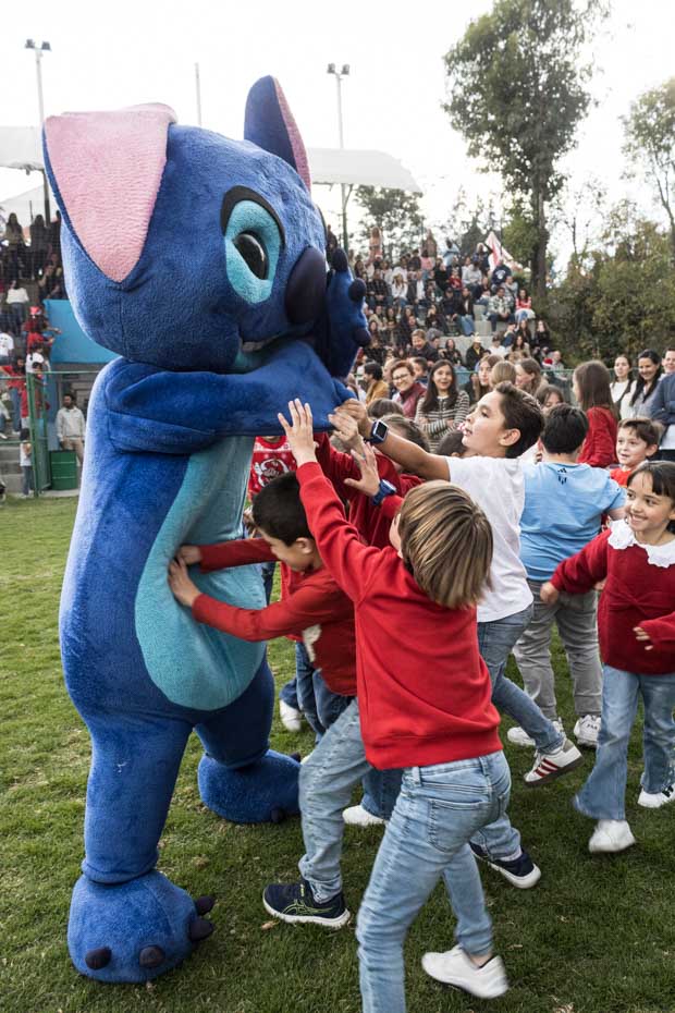 Ir a la Siguiente Foto