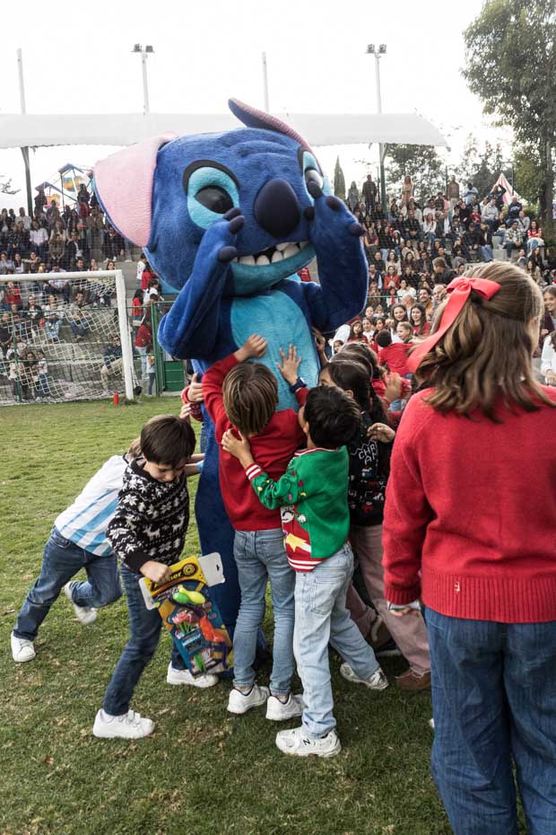 Ir a la Siguiente Foto