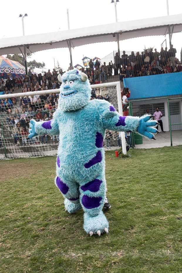 Ir a la Siguiente Foto