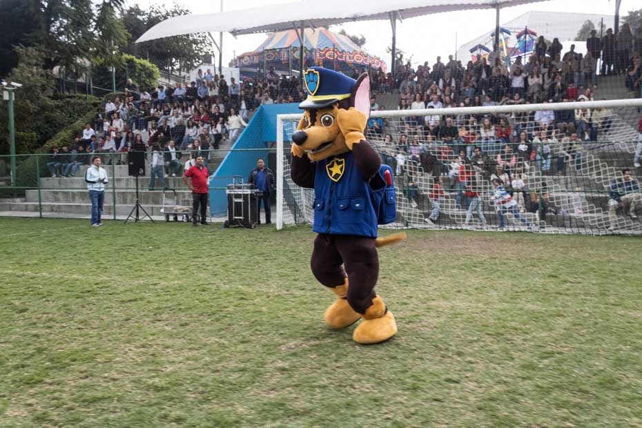 Ir a la Siguiente Foto