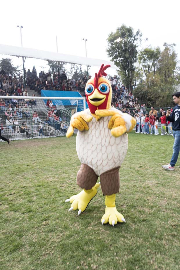 Ir a la Siguiente Foto