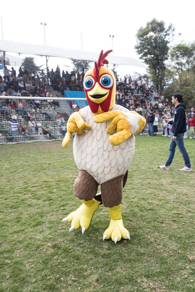 Ir a la Siguiente Foto