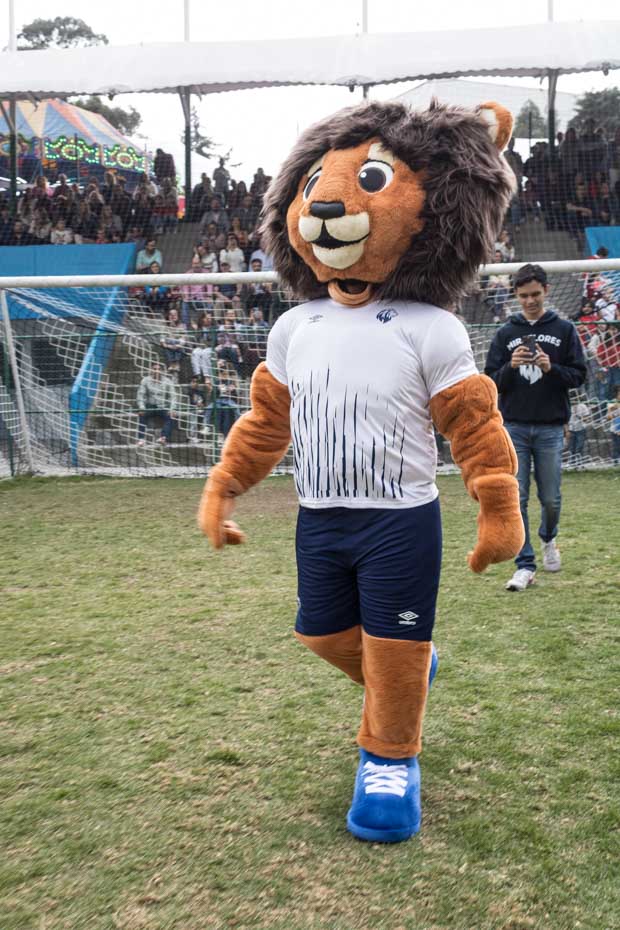 Ir a la Siguiente Foto