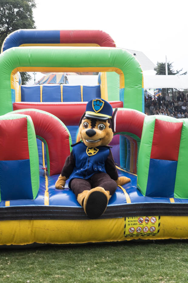 Ir a la Siguiente Foto