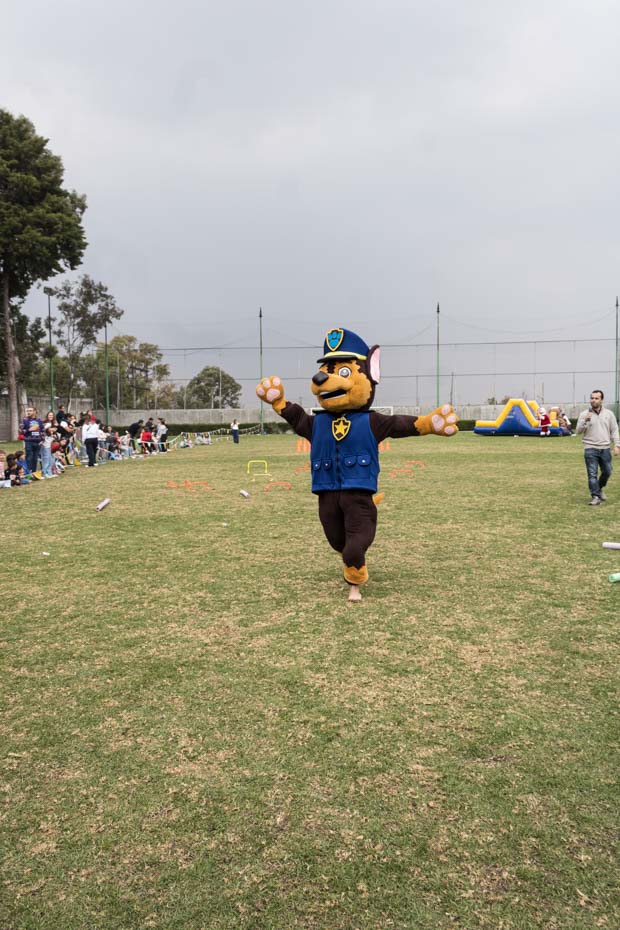 Ir a la Siguiente Foto