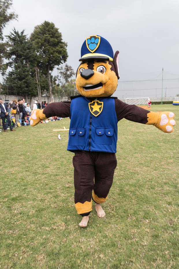 Ir a la Siguiente Foto