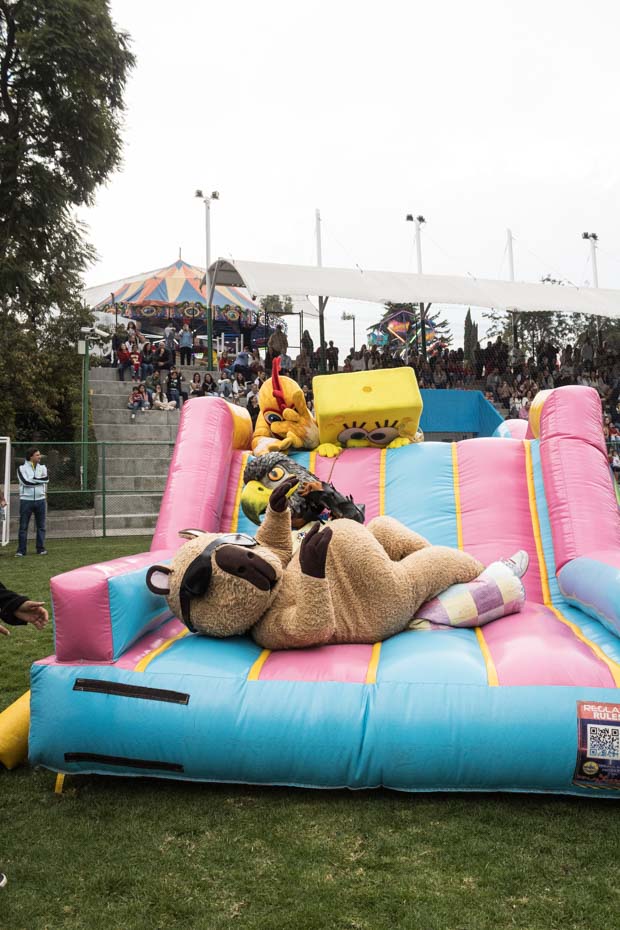 Ir a la Siguiente Foto