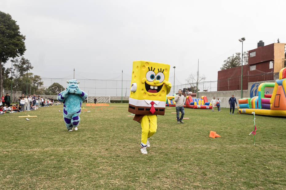 Ir a la Siguiente Foto