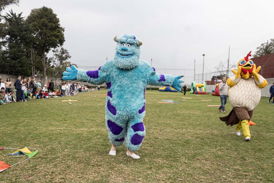 Ir a la Siguiente Foto