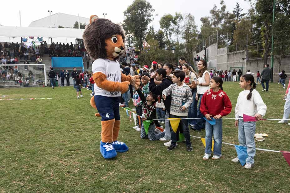 Ir a la Siguiente Foto