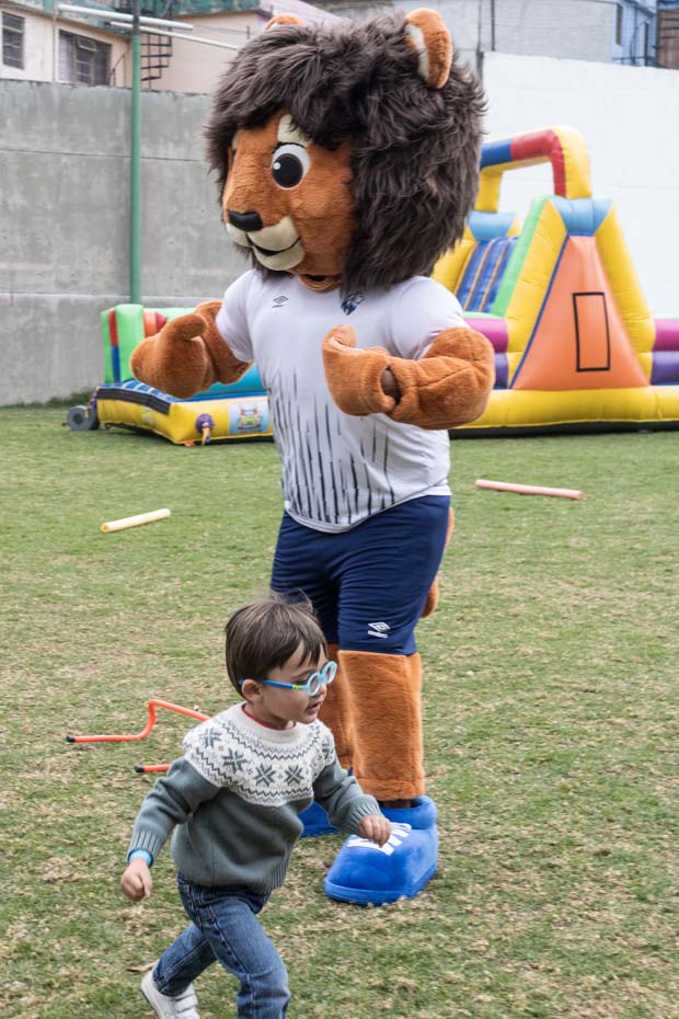 Ir a la Siguiente Foto