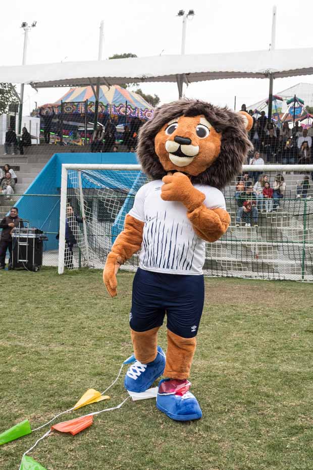 Ir a la Siguiente Foto