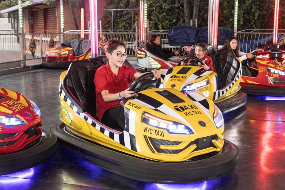 Ir a la Siguiente Foto