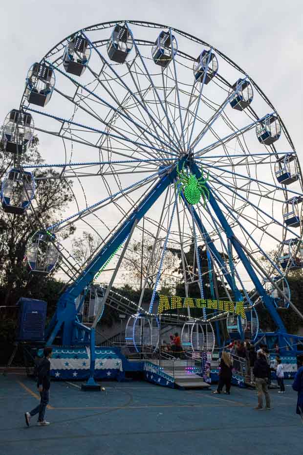 Ir a la Siguiente Foto