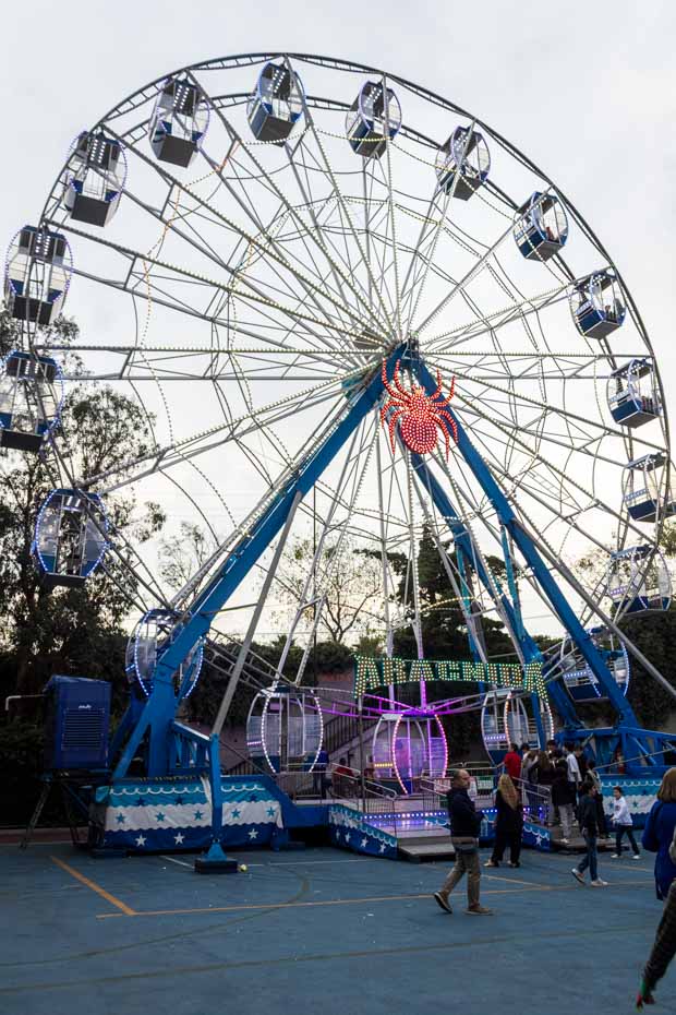 Ir a la Siguiente Foto