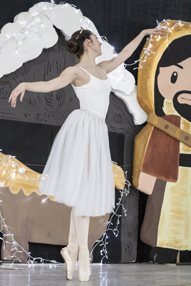 Ir a la Siguiente Foto