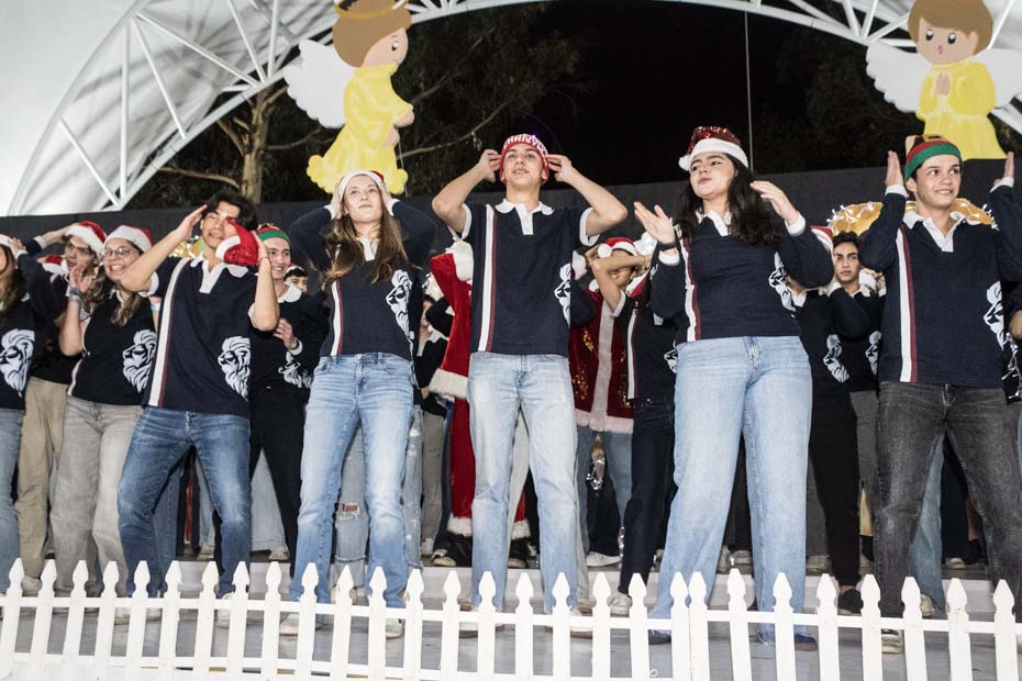 Ir a la Siguiente Foto