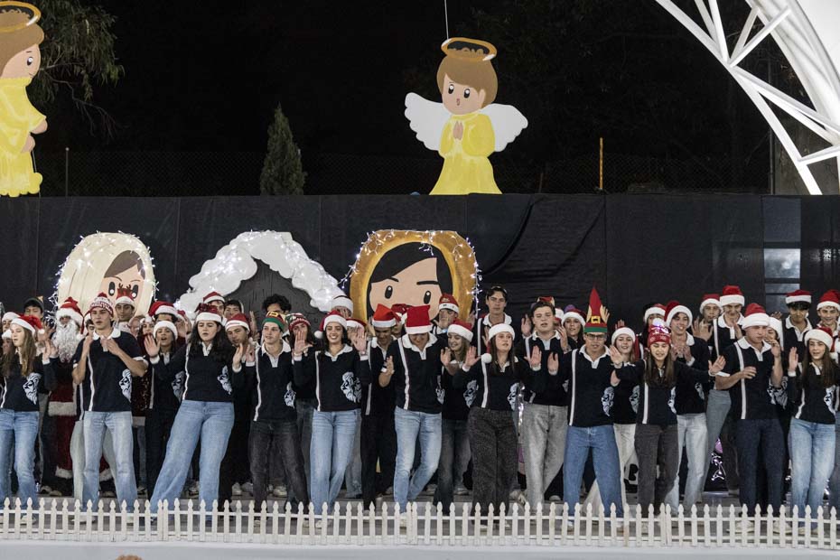 Ir a la Siguiente Foto