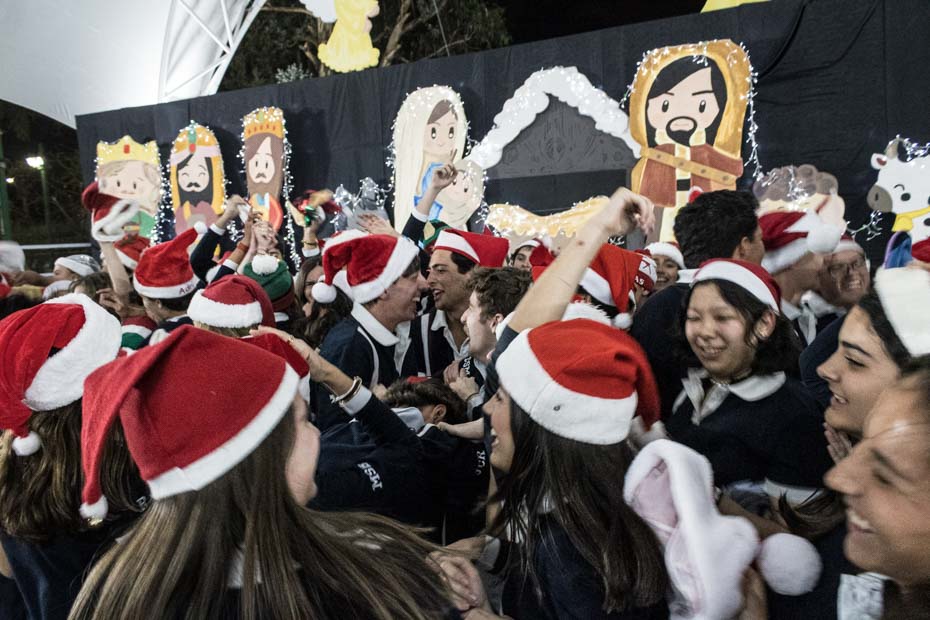 Ir a la Siguiente Foto