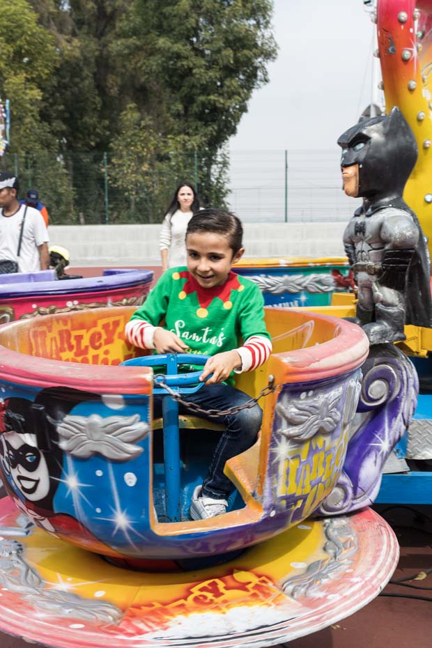 Ir a la Siguiente Foto