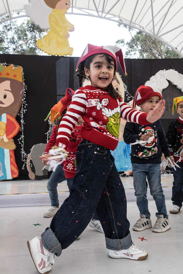 Ir a la Siguiente Foto