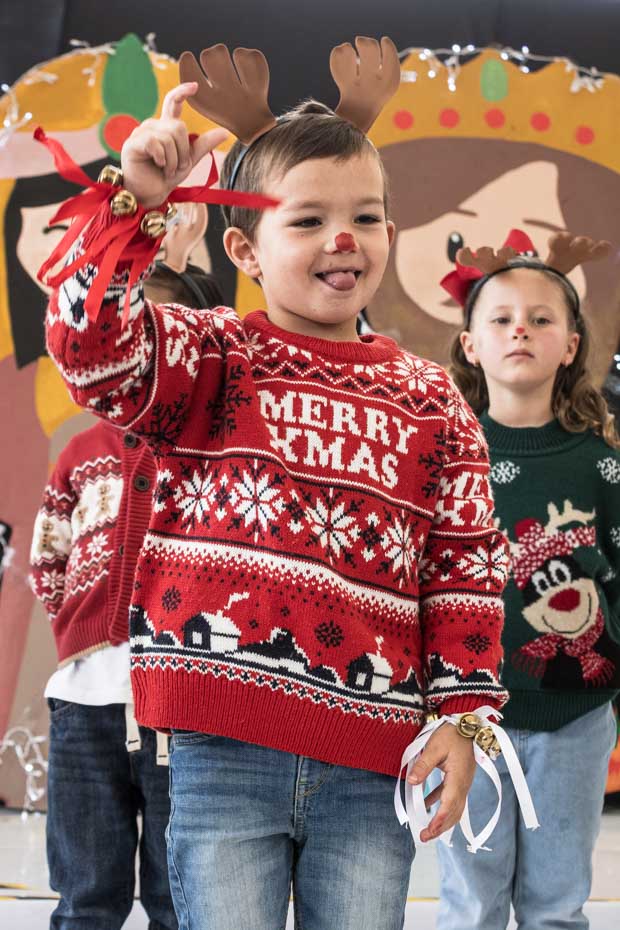 Ir a la Siguiente Foto