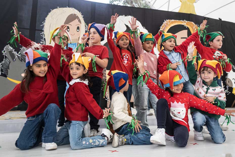 Ir a la Siguiente Foto