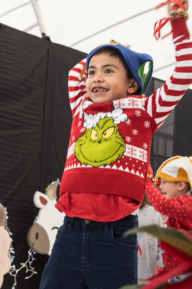 Ir a la Siguiente Foto